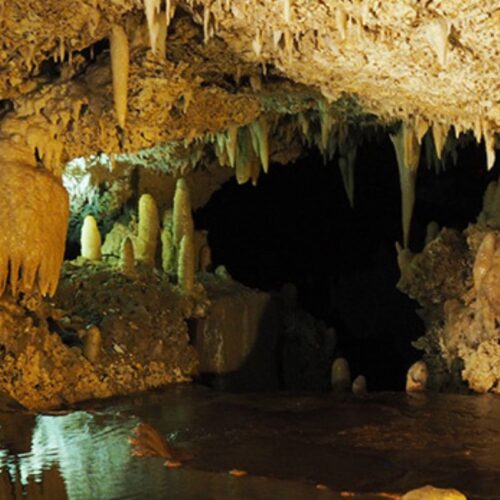 Resizes for EXB (23)